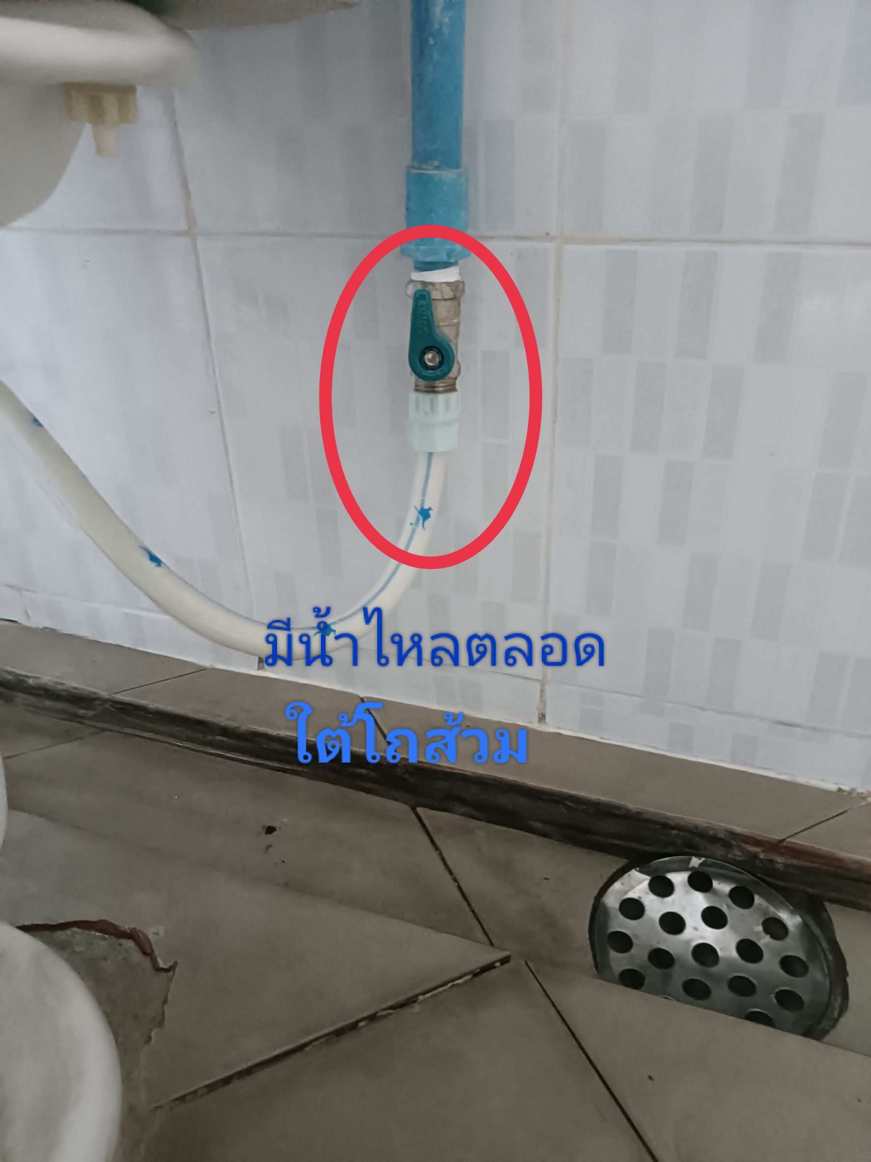 ภาพประกอบก่อนดำเนินการ