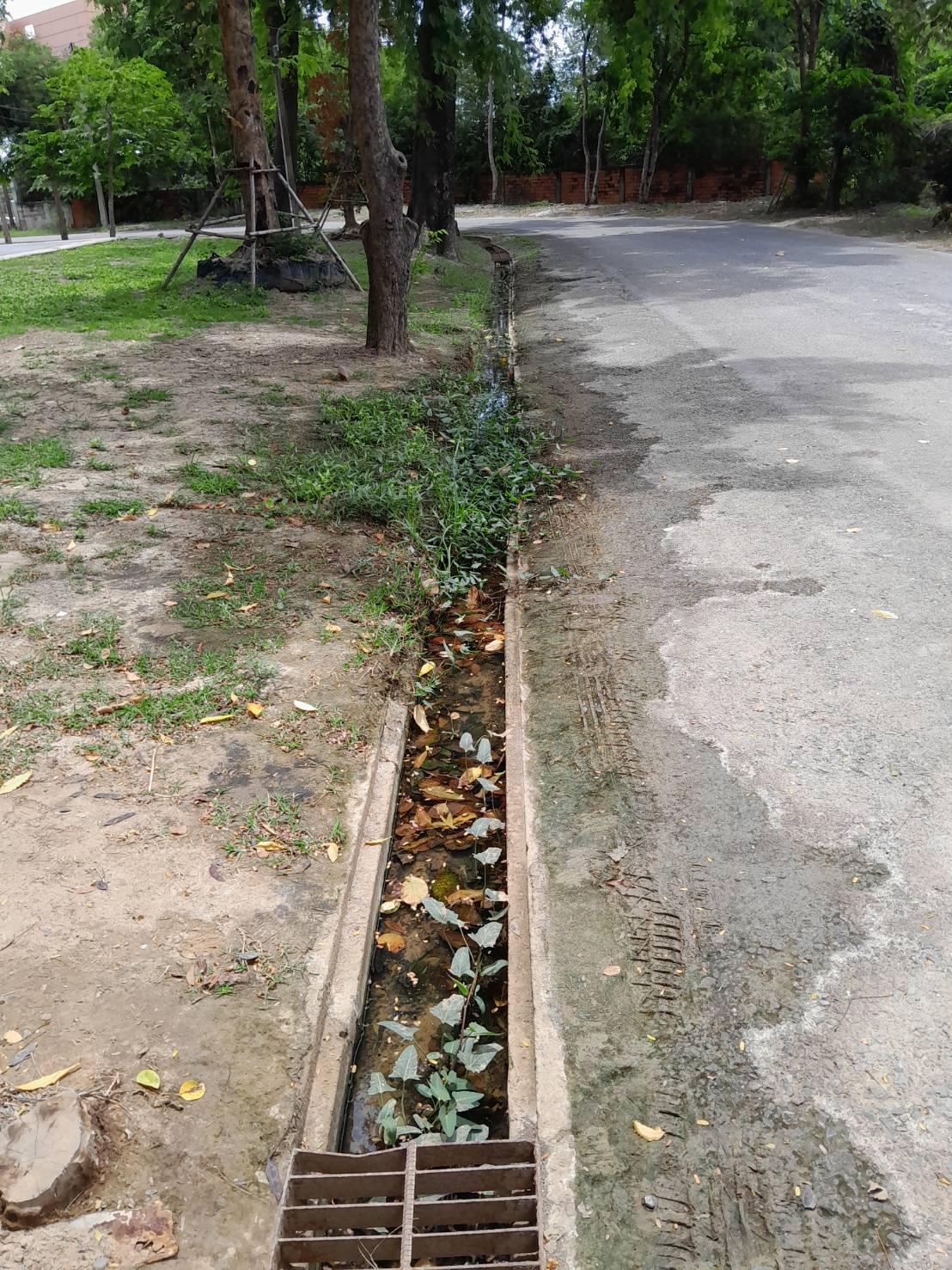 ภาพประกอบก่อนดำเนินการ