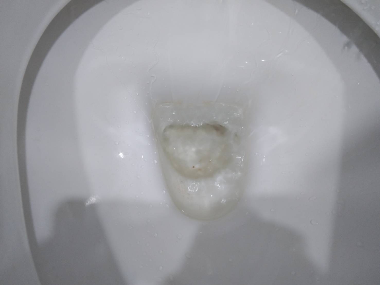 ภาพประกอบก่อนดำเนินการ